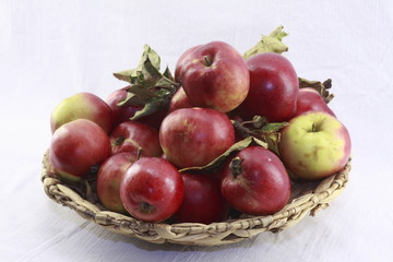 Apfel_Stilleben_1