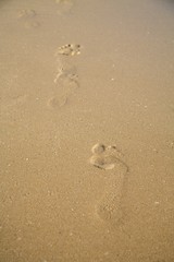 steps on the beach