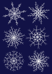 Fototapeta na wymiar Set of six different snowflakes