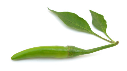 Green hot chili pepper with two leaves