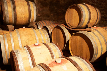Large wine barrels in old wineyard cellar, Piemonte, Italy