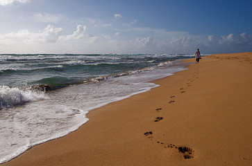 Tropical Hawaiian beach and rolling surf on the island of Kauai