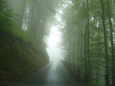 conduciendo con niebla