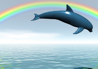Obraz premium dauphin arc en ciel
