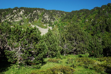 Fototapeta na wymiar Massif de Madres, Pireneje Aude