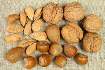 Walnuts, hazelnuts and almonds. Natural food.