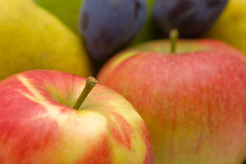 close up of red apple on fruity colors background