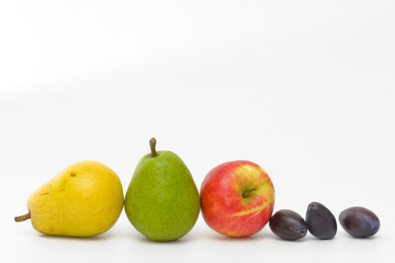 autumn fruits in a row with space for text