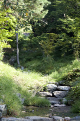Wald in Korea