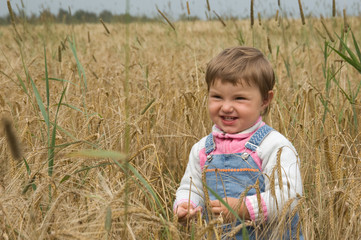 Naklejka na ściany i meble little girl runs across the field of a rye