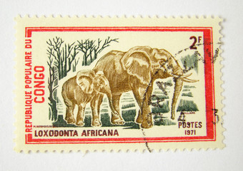 Congo postage stamp with elephants on white background