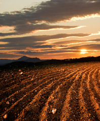 plowed land, on background sun dawn the hill