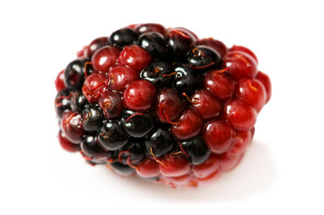 Extreme close up of berry isolated on white © Elnur