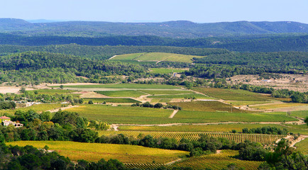 Fototapeta na wymiar winorośl, z lotu ptaka winnic w południowej Francji