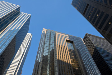 Fototapeta na wymiar Skyscrapers of downtown.Canada.