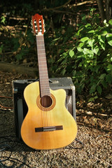 Country Guitar in Nature