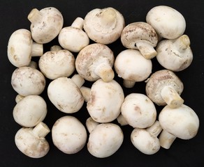 Mushrooms. Heap of champignons on a black background