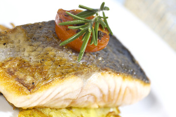 gegrillter lachs