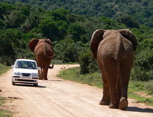 heavy traffic