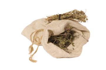 dried thyme on the white background