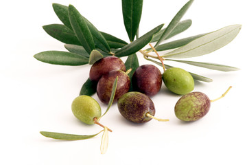 Oliven