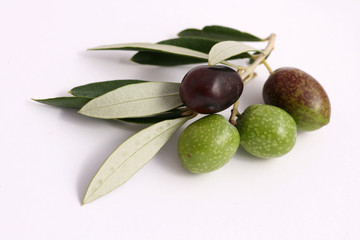 Oliven