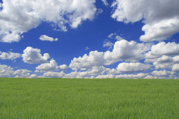 Fototapeta premium Naturlandschaft