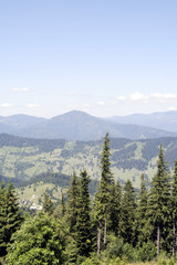 Fototapeta premium Mountains with green forest landscape.