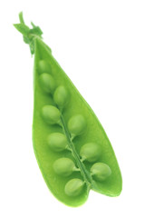 Green pea.
