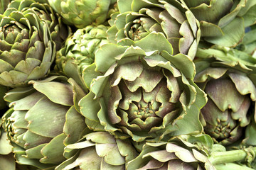 Fototapeta premium Artischocken