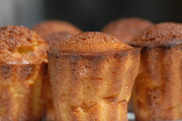 cannelés