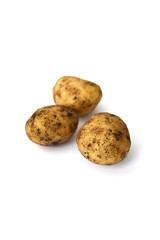 Fototapeta premium Potatoes