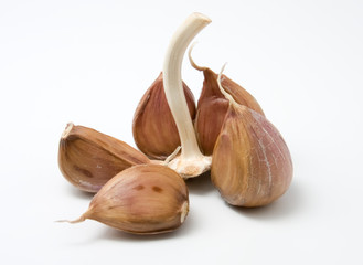 garlic close up on white