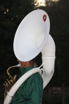 h&eacute;licon