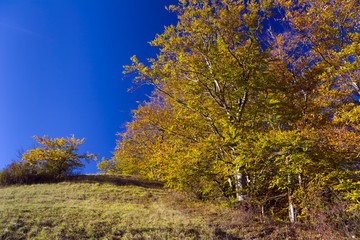 Herbstlandschaft