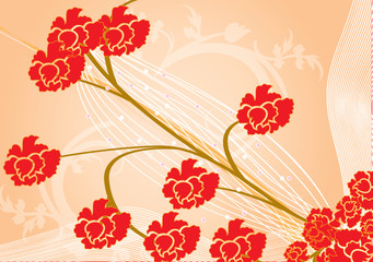 oeillets rouges