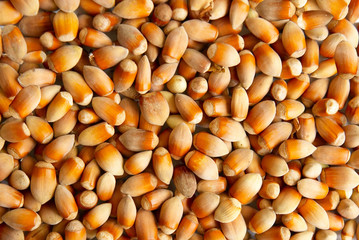 Texture of filberts.