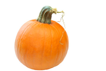 Halloween pumpkin isolated on white