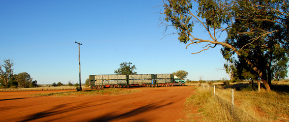 Road train in Australia crossing a outback country