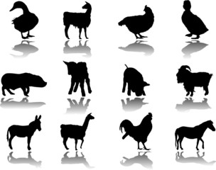 Set Animals. Vector. Similar works are in my galleries