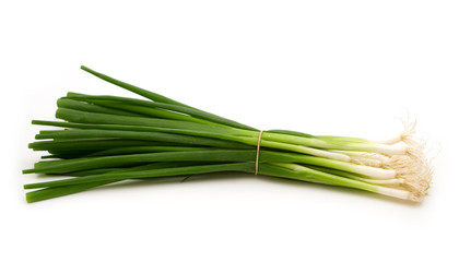 green onion on white background
