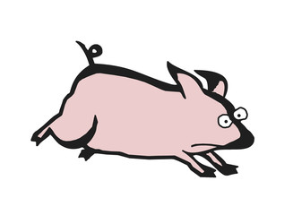 Schwein - Sau - Haustier