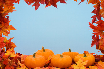 Naklejka na ściany i meble Fall leaves with pumpkin on blue background, fall harvest frame