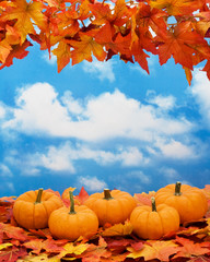 Naklejka na ściany i meble Fall leaves with pumpkin on sky background, fall harvest