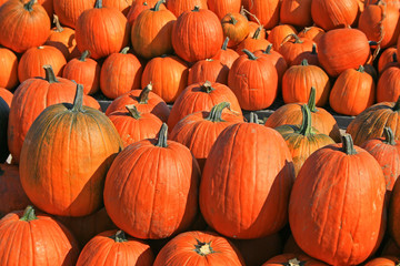 Pumpkin sale