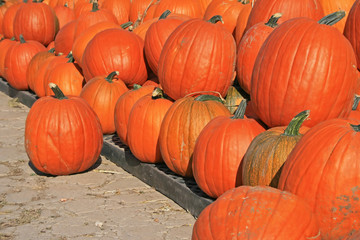 Pumpkin sale