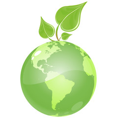 ecological green globe, growing a fresh green leaf