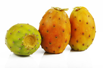 Fichi D'India 20