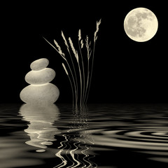 Golden Moonlight