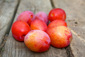 Während der Pflaumenernte